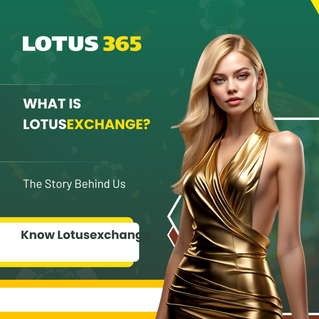 What is Lotusexchange? The Story Behind Us